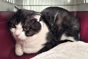 barney IMG_001 barney IMG_001