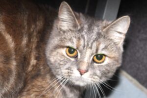 bella IMG_5049we bella IMG_5049we