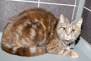 bella IMG_5051we bella IMG_5051we