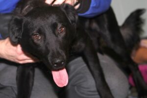 charly IMG_5424we charly IMG_5424we