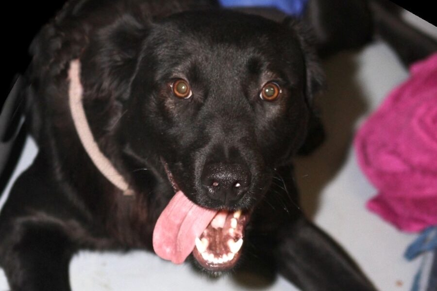 charly IMG_5430we charly IMG_5430we