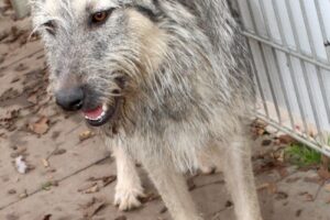 cooper IMG_5149we cooper IMG_5149we