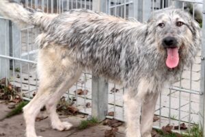 cooper IMG_5151we cooper IMG_5151we