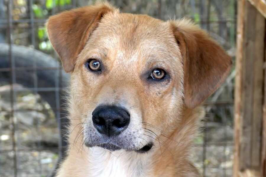 eddy pfotenherz IMG003 eddy pfotenherz IMG003