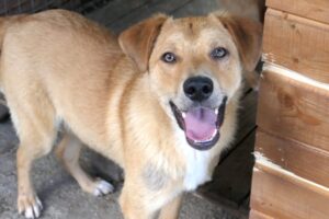 eddy pfotenherz IMG005 eddy pfotenherz IMG005