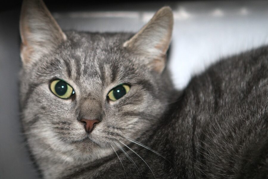 elsa IMG_5465we elsa IMG_5465we