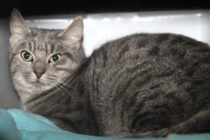 elsa IMG_5466we elsa IMG_5466we