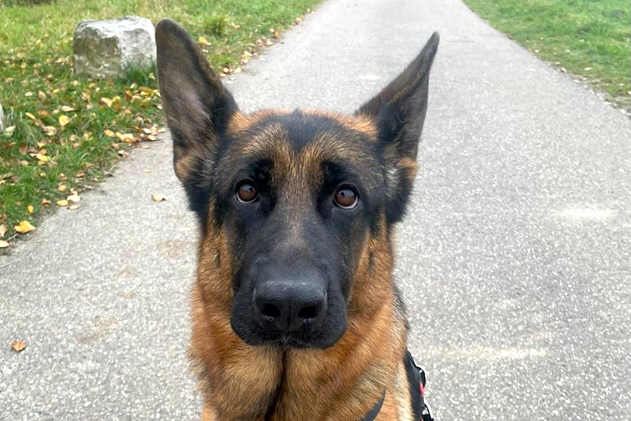 freya IMG_00012 freya IMG_00012