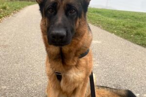 freya IMG_00016 freya IMG_00016