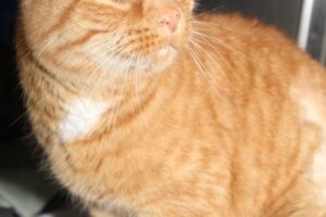 geraldo IMG_5514we geraldo IMG_5514we