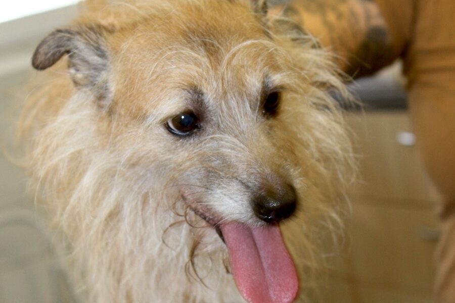 gustavo IMG_4863we gustavo IMG_4863we