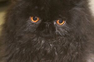 jack IMG_5176we jack IMG_5176we