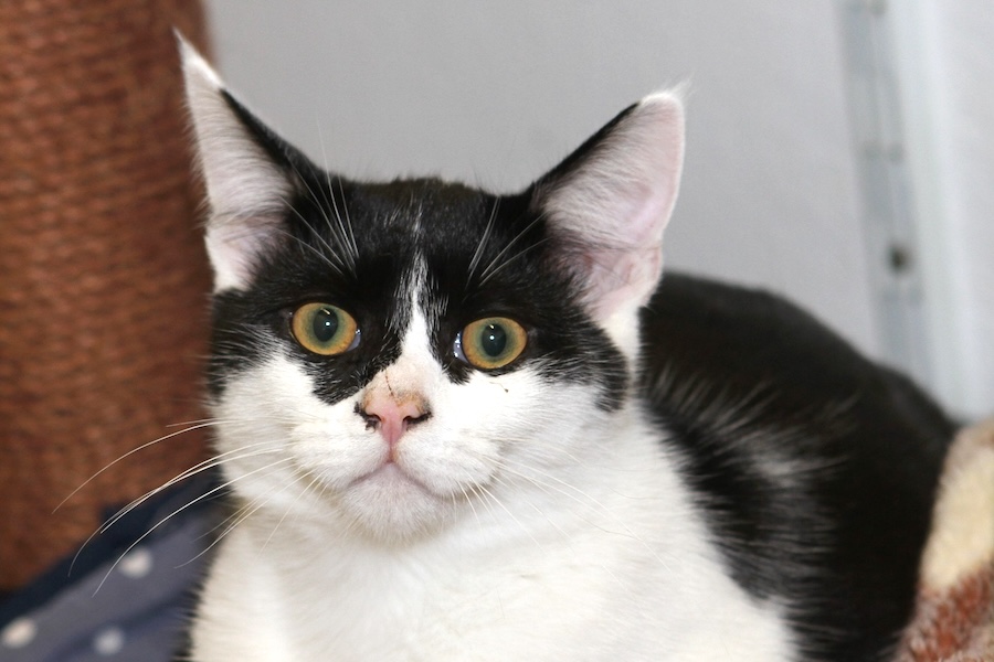 jonas IMG_4467we jonas IMG_4467we