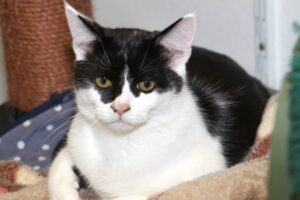 jonas IMG_4469we jonas IMG_4469we