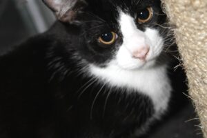 jonathan IMG_4472we jonathan IMG_4472we