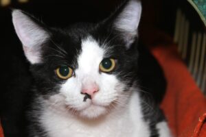 julian IMG_4470we julian IMG_4470we