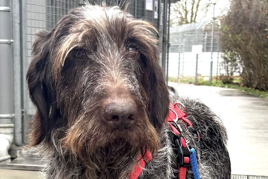 juna IMG_001 juna IMG_001