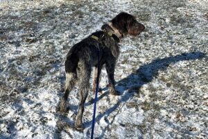 juna IMG_0010