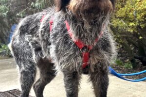 juna IMG_002 juna IMG_002