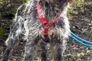 juna IMG_003 juna IMG_003