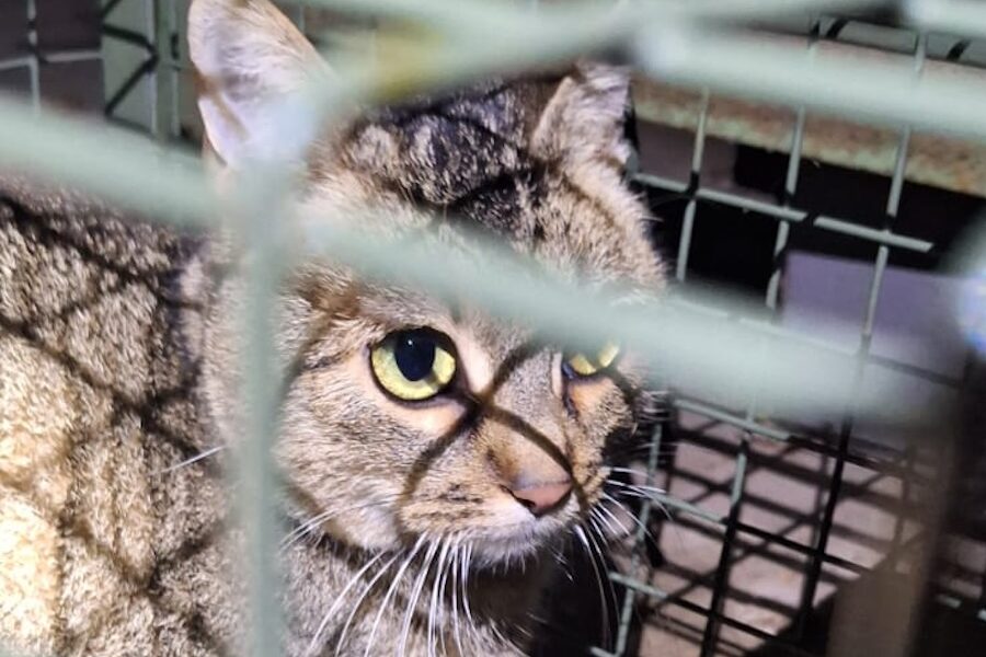 kendra 001 kendra 001