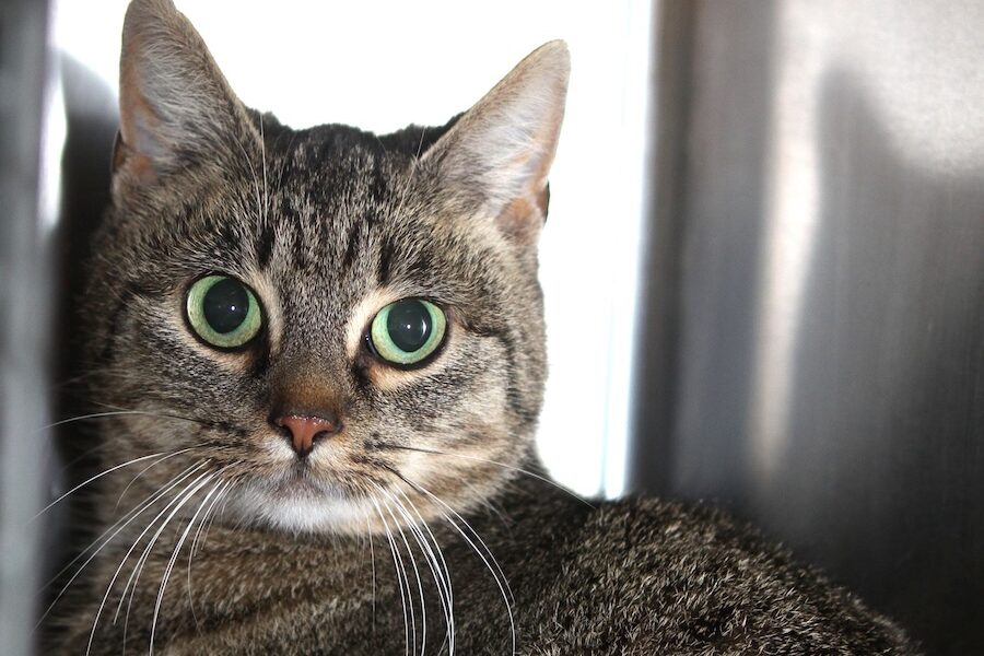 kurkuma IMG_5749we kurkuma IMG_5749we