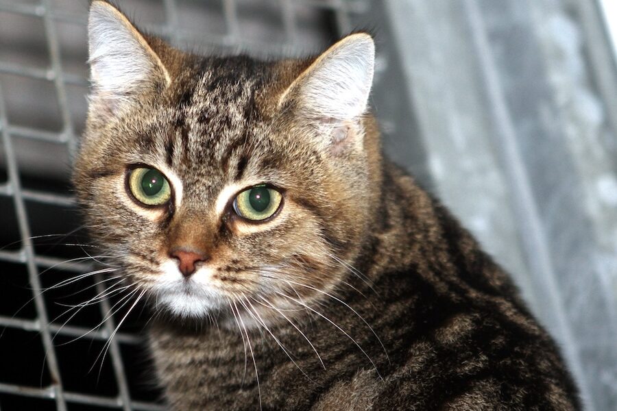 kurt IMG_4525we kurt IMG_4525we