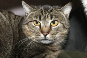 lotte IMG_1957 lotte IMG_1957