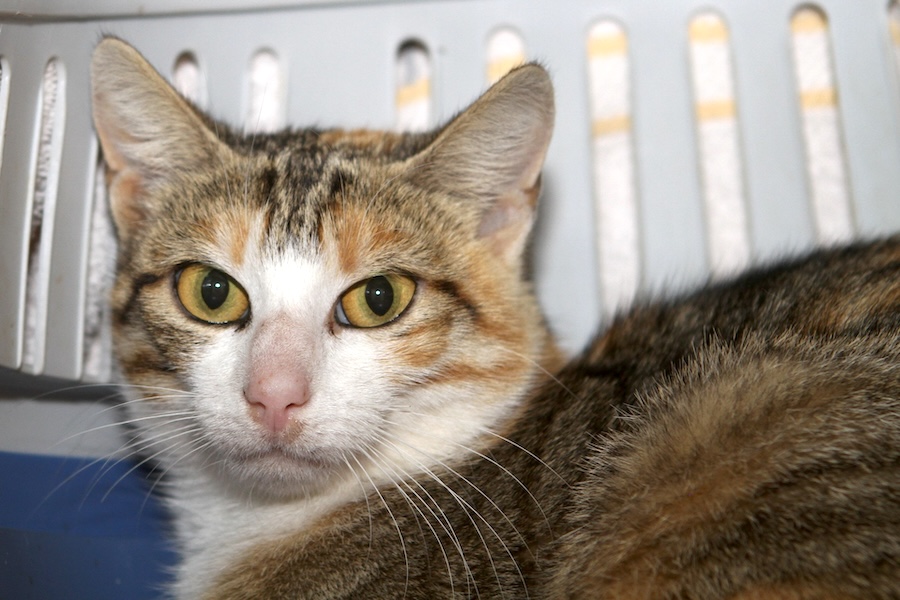 mariana IMG_4979we mariana IMG_4979we