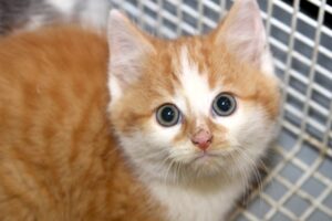 martix IMG_5243we martix IMG_5243we