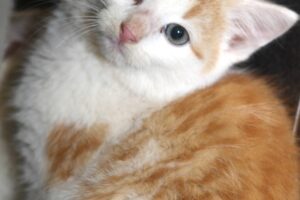 marvin Melvin IMG_4985we marvin Melvin IMG_4985we