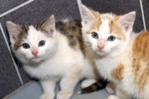 marvin Melvin IMG_4987we marvin Melvin IMG_4987we