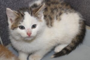 marvin Melvin IMG_4993we marvin Melvin IMG_4993we