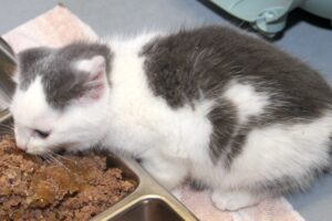 maxi IMG_5247we maxi IMG_5247we