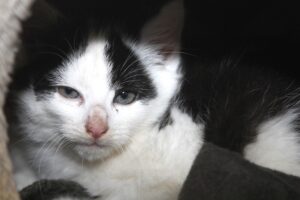 monty IMG_5092we monty IMG_5092we