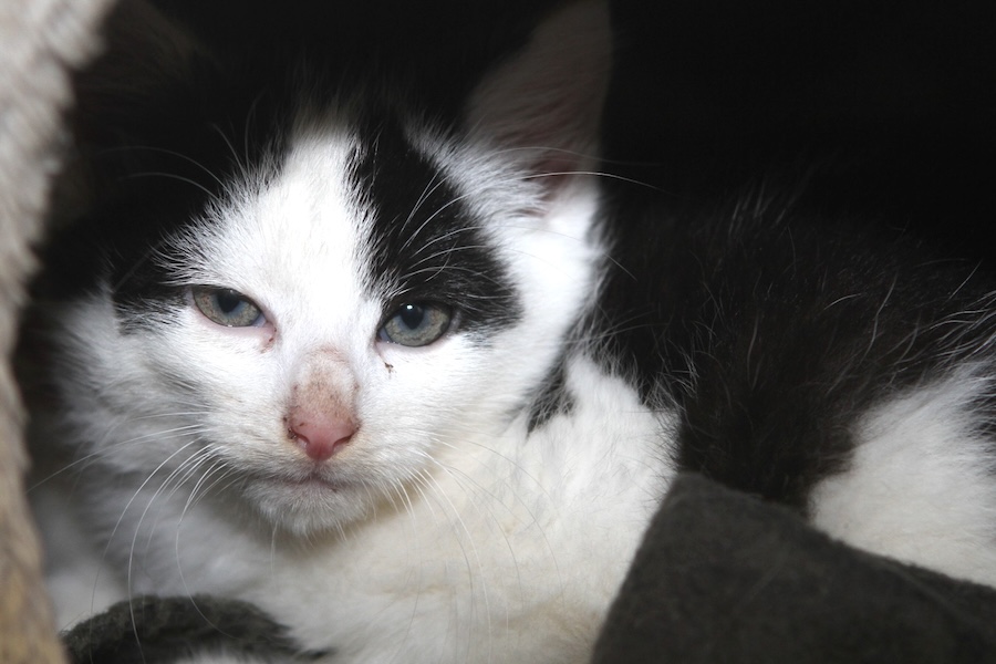 monty IMG_5092we monty IMG_5092we