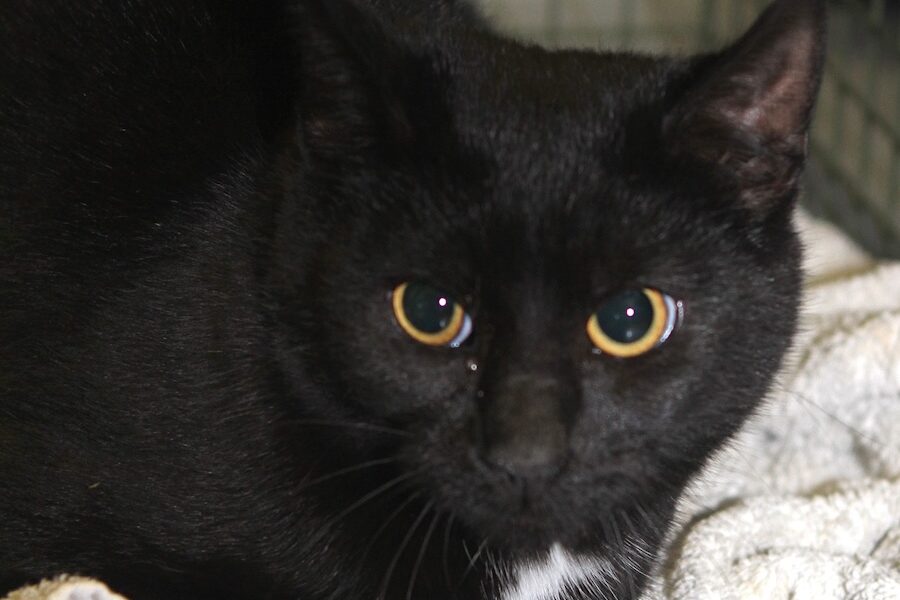 rocket IMG_5014we rocket IMG_5014we