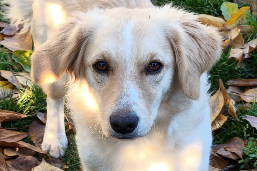 sonja IMG_001 sonja IMG_001