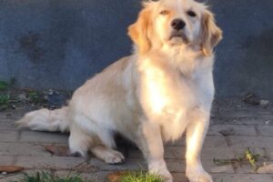 sonja IMG_004 sonja IMG_004