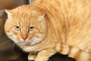 theo IMG_5467we theo IMG_5467we