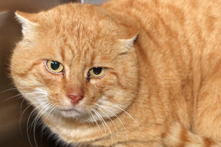 theo IMG_5469we theo IMG_5469we