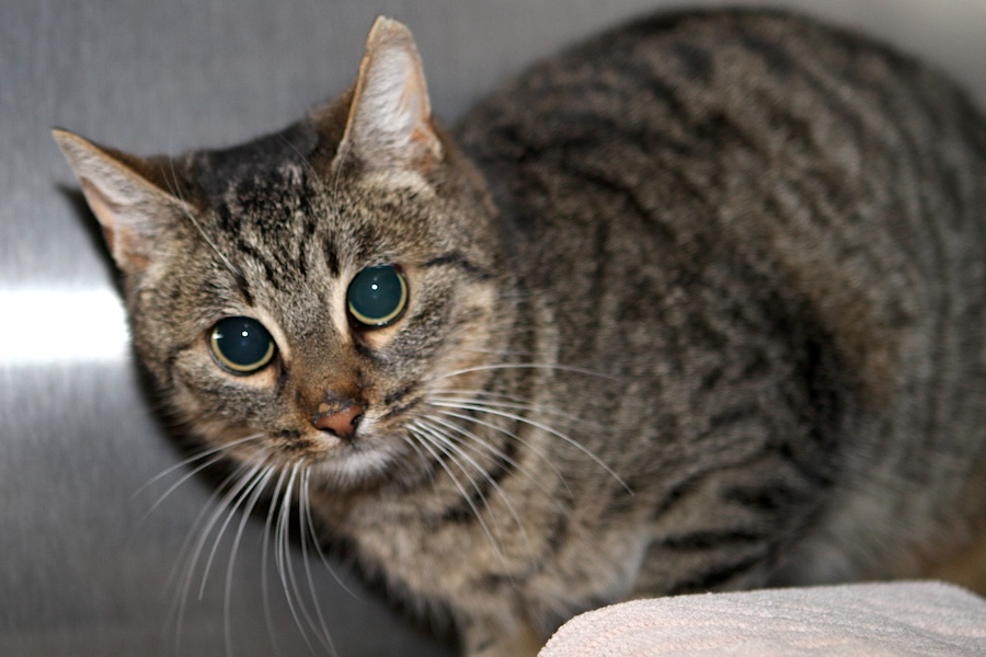 wanja IMG_4513we wanja IMG_4513we