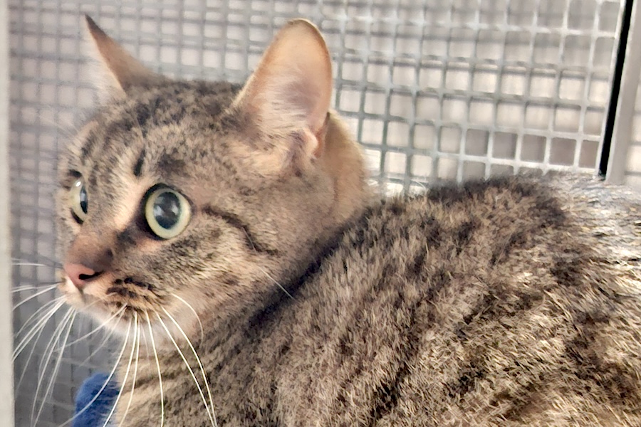 wicky IMG 001 wicky IMG 001