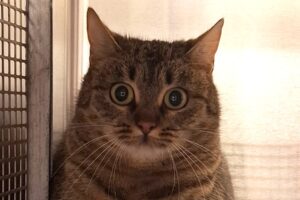 wicky IMG 003 wicky IMG 003