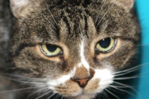 annett jetzt artur IMG_9778we annett jetzt artur IMG_9778we