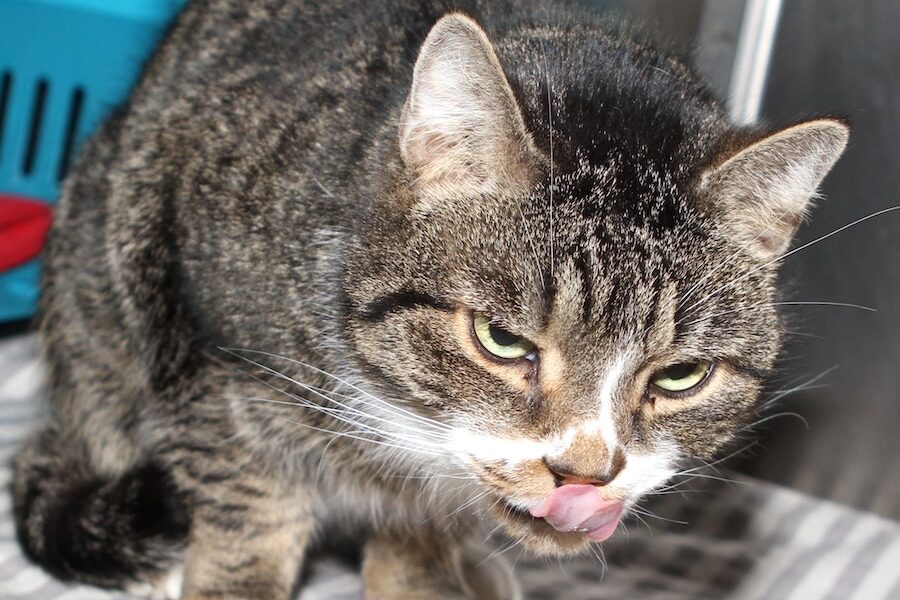 annett jetzt artur IMG_9780we annett jetzt artur IMG_9780we