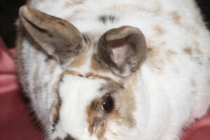 anni IMG_5701we anni IMG_5701we