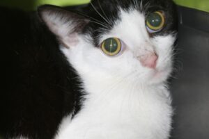 balea IMG_5652 balea IMG_5652