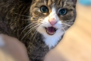 bonny privat IMG_8190