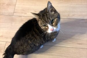 bonny privat IMG_8192